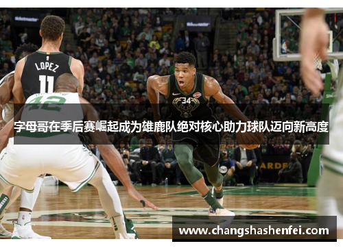 字母哥在季后赛崛起成为雄鹿队绝对核心助力球队迈向新高度