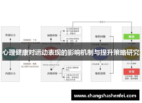 心理健康对运动表现的影响机制与提升策略研究