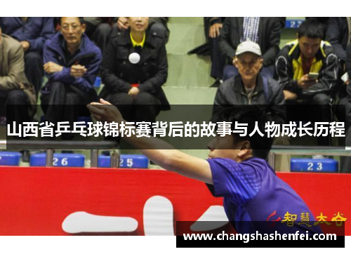 山西省乒乓球锦标赛背后的故事与人物成长历程