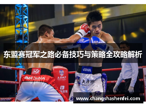 东盟赛冠军之路必备技巧与策略全攻略解析