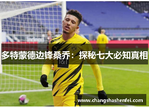 多特蒙德边锋桑乔:探秘七大必知真相 多特蒙德边锋桑乔:探秘七大必知真相