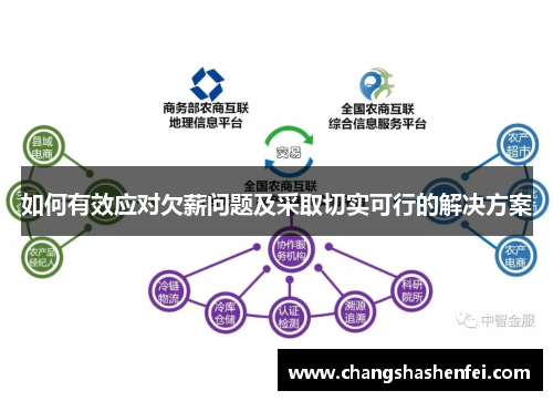 如何有效应对欠薪问题及采取切实可行的解决方案
