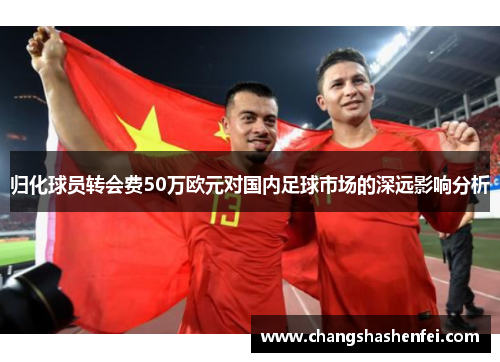 归化球员转会费50万欧元对国内足球市场的深远影响分析