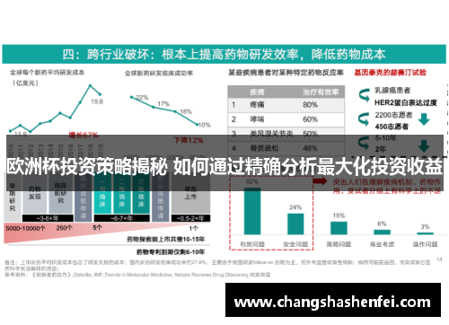 欧洲杯投资策略揭秘 如何通过精确分析最大化投资收益