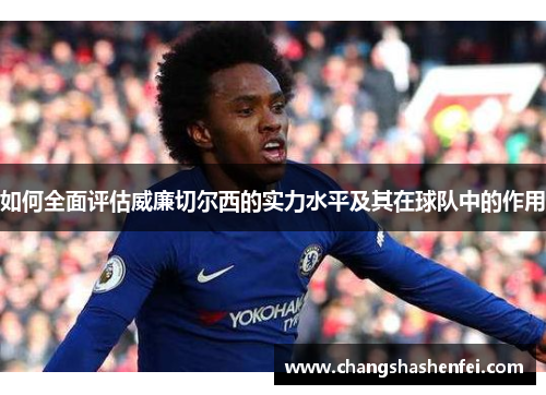 如何全面评估威廉切尔西的实力水平及其在球队中的作用
