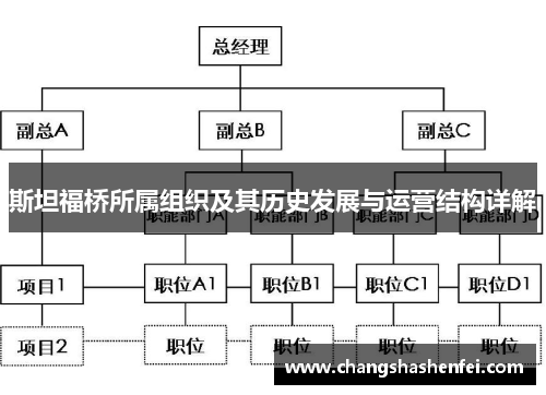 斯坦福桥所属组织及其历史发展与运营结构详解