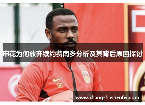 申花为何放弃续约费南多分析及其背后原因探讨