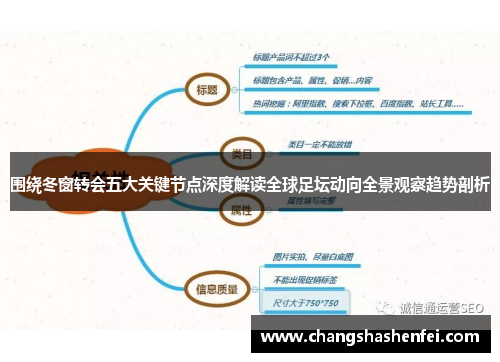围绕冬窗转会五大关键节点深度解读全球足坛动向全景观察趋势剖析