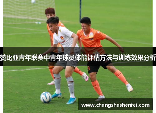 赞比亚青年联赛中青年球员体能评估方法与训练效果分析 赞比亚青年联赛中青年球员体能评估方法与训练效果分析