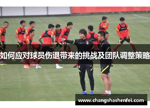 如何应对球员伤退带来的挑战及团队调整策略